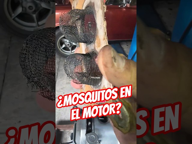 I've never seen this one. Have you ever seen it? But if a nut falls off, it won't go into the cyl...