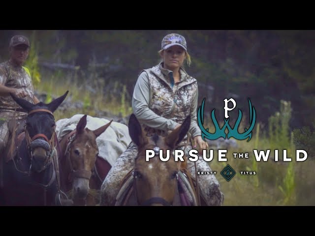 Pursue The Wild Sizzle with Kristy Titus