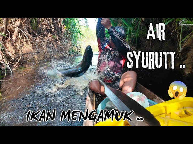BAKUMEN BEJUKUNG 2