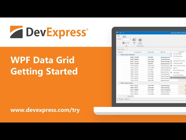 WPF Data Grid: Getting Started