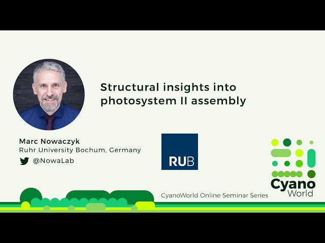 Marc Nowaczyk | Structural insights into photosystem II assembly