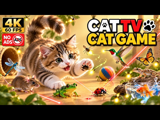 🔴 CAT TV LIVE | Games for Cats to Watch – Birds, Lizards, Fireflies & Toys | 4K
