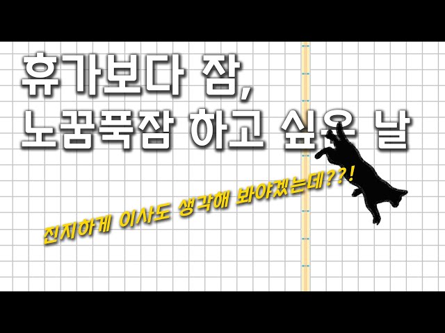 「딘 모스베 R노트」 잠이냐 반려동물이냐 그것이 문제로다🐈