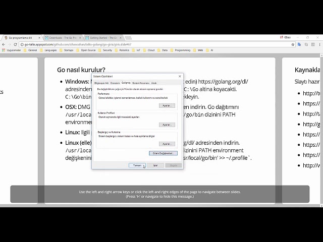 Go Programlama Dili Ortam Kurulumu