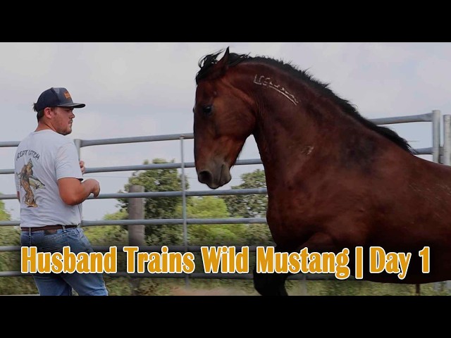 Husband's First Day with Wild Mustang | Mustang Magic 2027