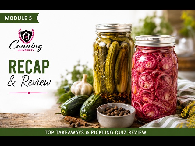 Module 5: Art of Pickling Top 5 Takeaways
