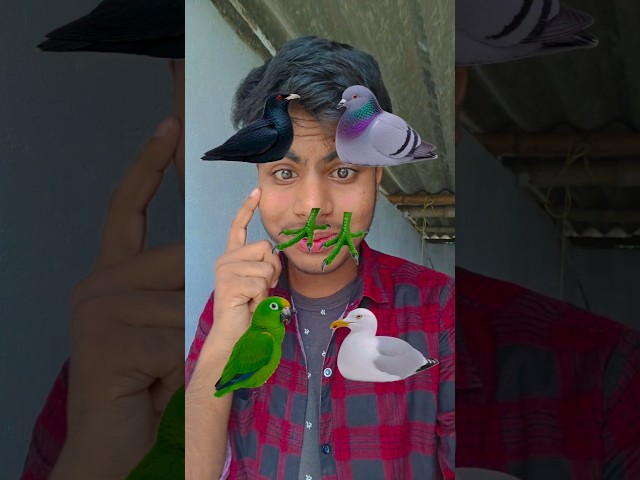 #tutorialfilter