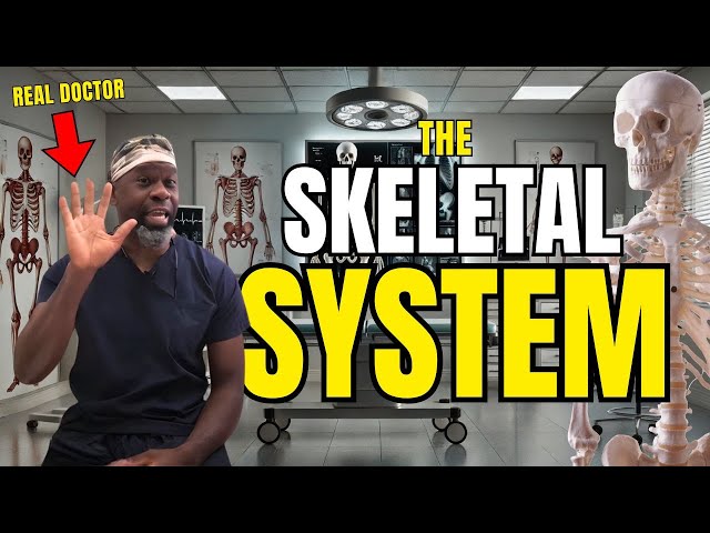 The Skeletal System |  Parts of the Skeleton for Kids