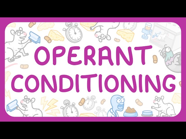 Psychology - Operant Conditioning