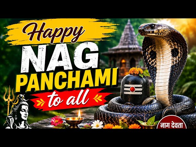 Happy Nag panchami|MNR Computer training Live