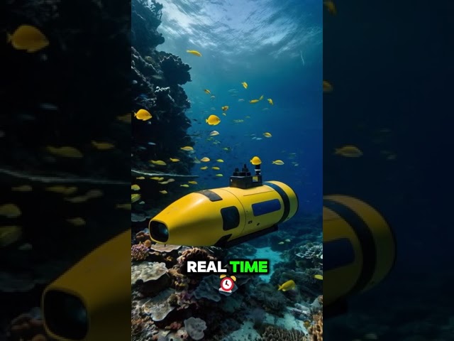 Drones for the Planet: How Autonomous Tech Is Saving Earth’s Ecosystems