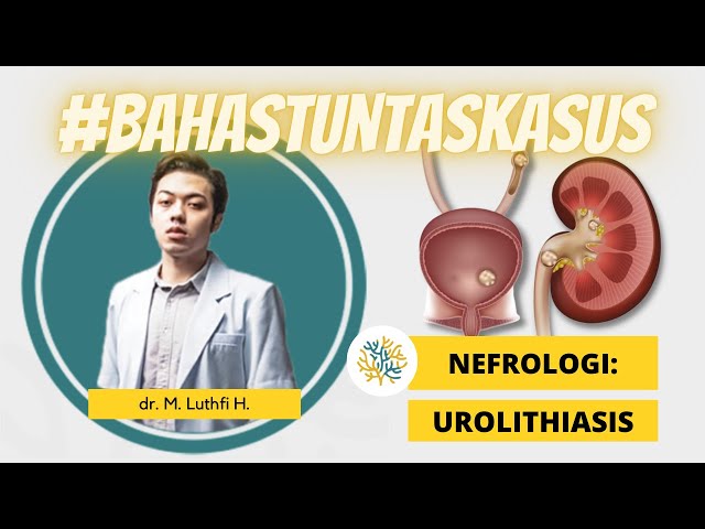 UKMPPD Session #31 | Nefrourologi : Urolithiasis / Batu Saluran Kemih (Lokasi, Jenis Batu, dll)