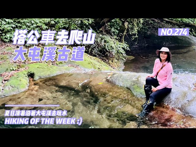 新北三芝｜搭公車去爬山｜夏日消暑路線｜三板橋｜陽明山國家公園-大屯溪古道｜桶湖瀑布