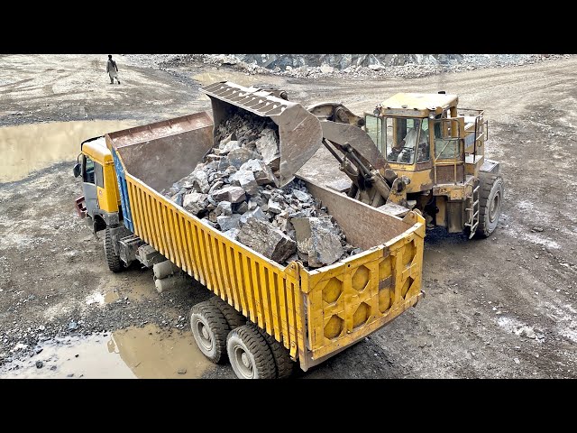Perfect Stone Loading Operation Giant Rocks Loading into Dump Truck