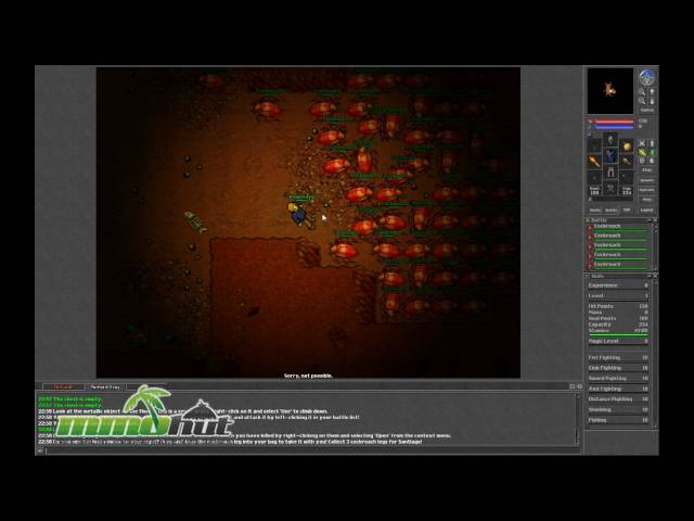 Tibia Gameplay - First Look HD