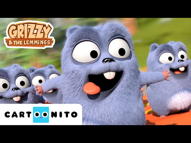 Grizzy e os Lemingues | Compilação: Controlo remoto | Cartoonito