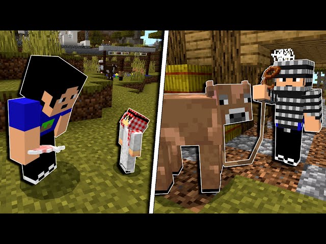 Nyolong Sapi Kurban dan Bagi-Bagi Daging Kurban dengan Addon di MCPE