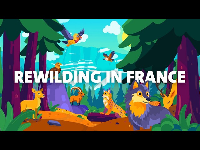 Rewilding in France: from wildlife return to living landscapes