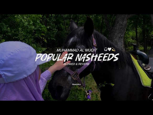 "Popular Nasheeds playlist by Muhammad Al Muqit” | Slowed & reverb |peaceful Arabic Nasheed no music
