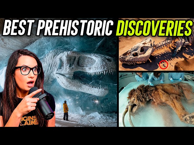 This is What Life Was Like MILLIONS Of Years Ago!
