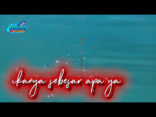 Pak Mat Bonlopo's stall in Sumberpucung‼️ Karangkates Reservoir, Malang, East Java, Indonesia