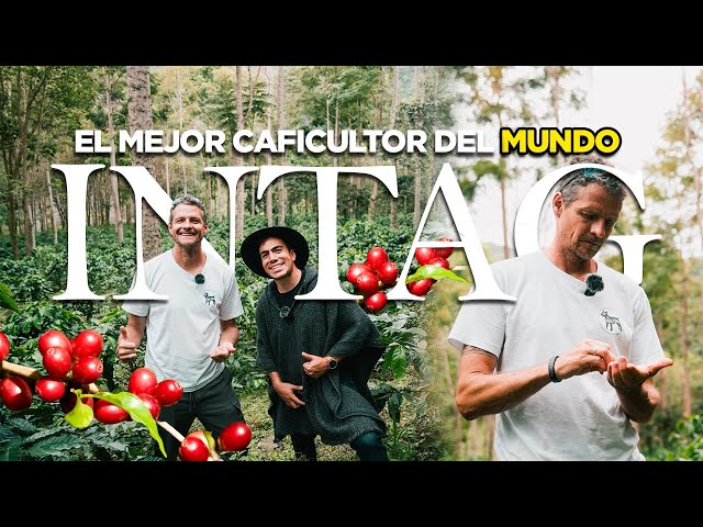 This Ecuadorian farm won the award for best in the world | El Champ
