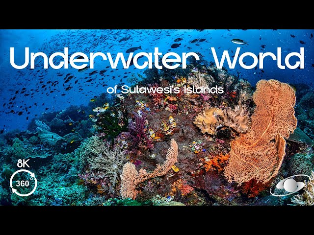 VR 360° Diving Adventure in Indonesia | Trailer | Exclusive App for Apple Vision Pro "HaloSphere"