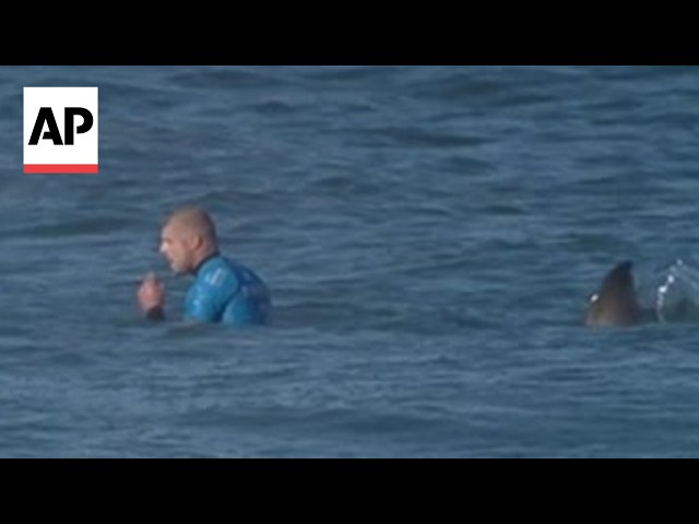 Surfer fights off shark during competition: 'I was swinging and screaming'
