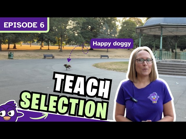 Episode 6 | How to teach selection in Flock XR