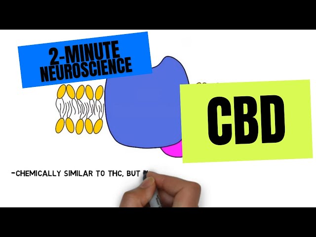 2-Minute Neuroscience: CBD