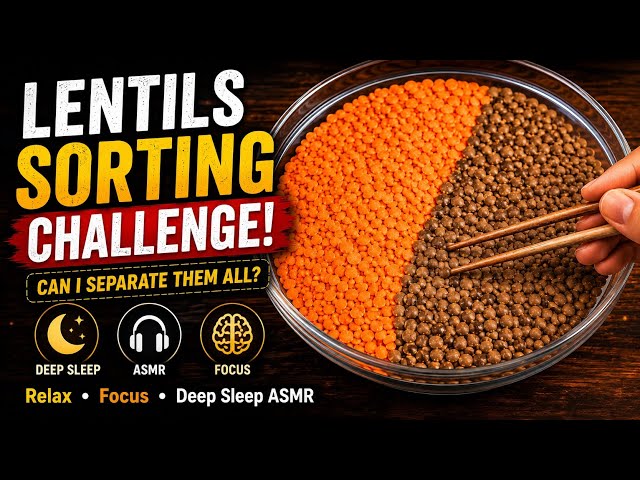 🔴 LIVE Relaxing Lentils Sorting ASMR 🌿 | Satisfying & Calming | Sleep • Study • Stress Relief
