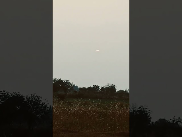 2025hooks in react jsreact in one projectreact 2026modern reactreactjs 2026angular vs react #youtube