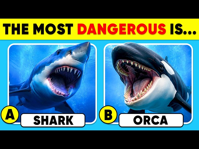 How Well Do You Know Animals? 🦈🐬🧠✅ General Knowledge Trivia Quiz