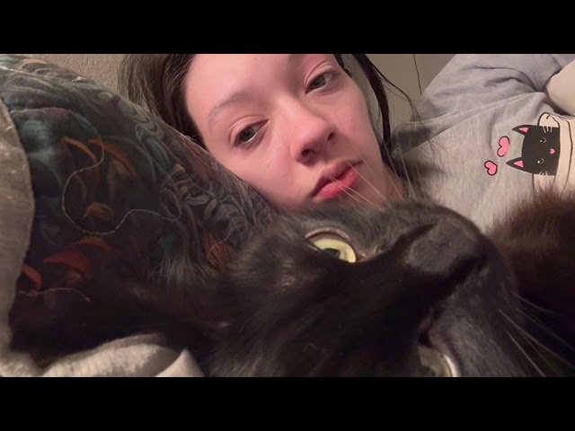 Enjoy an Early Morning “Catnap” with me! Kitty leaves go look outside about 2/3 in, then wakes me! 