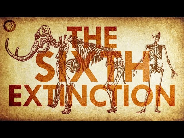 Are We Living In the Sixth Extinction?