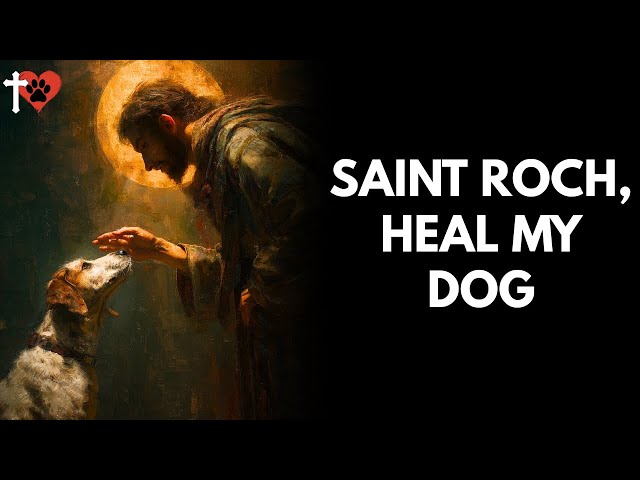 Miracle Prayer to Saint Roch for Sick Dogs   Healing Blessing for Your Pet – prayer for dog