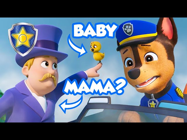 Chase Tries to Rescue a Goose… But It Refuses! 🐤🚨 | Chase Official Channel | PAW Patrol
