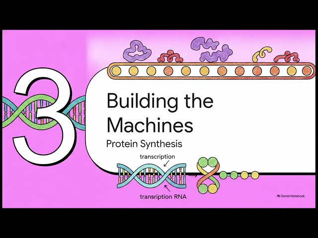 History of Cell Information