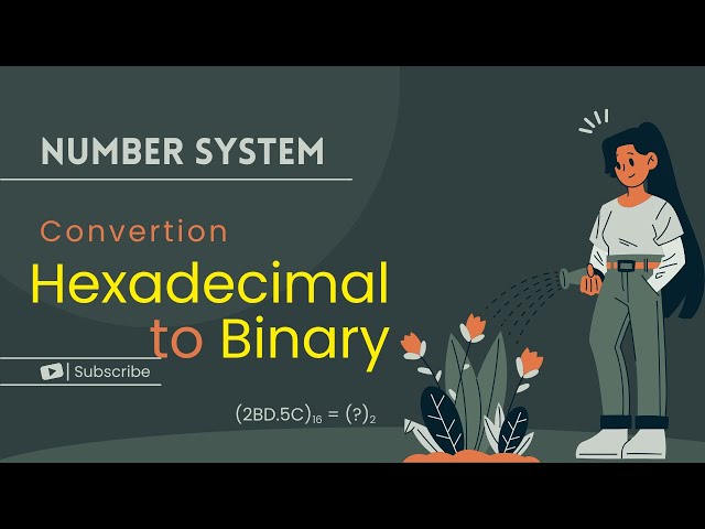 011 Hexadecimal to Binary Conversion