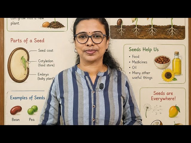 Grade 5 Basic Science Chapter 4: Seeds of Life