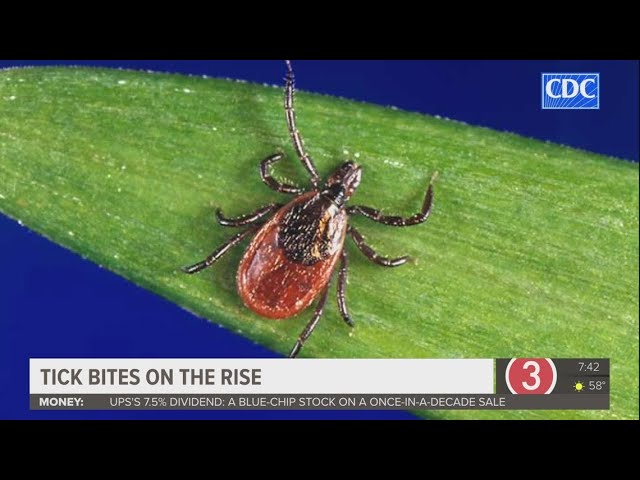 Tick bites sending people to the ER at near-record rates
