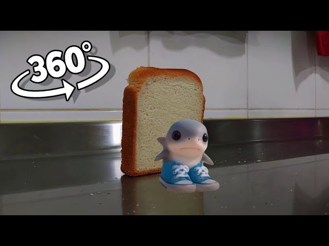 Toast falling over Los tralaleritos dicen tralala | 360° VR Video
