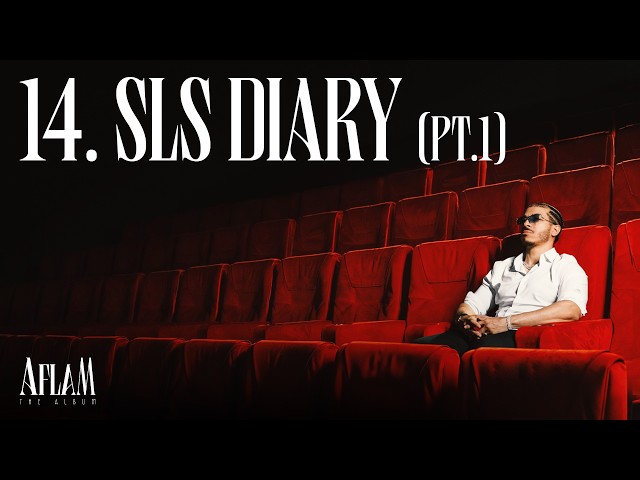 14 - Dizzy DROS - SLS DIARY (Pt. 1)