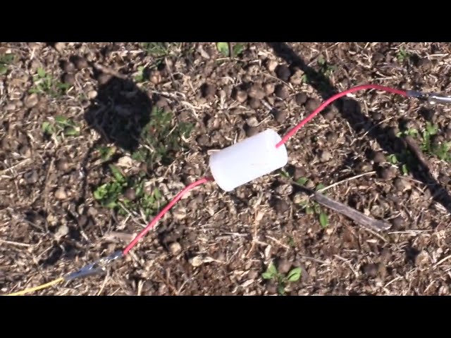 video of my MW DX setup