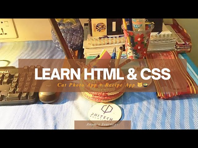Learn HTML & CSS with Me 🌸 | freeCodeCamp Beginner Projects (Cat Photo App + Recipe App)