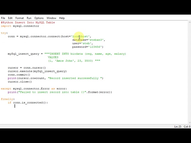 Python Insert Into MySQL Table
