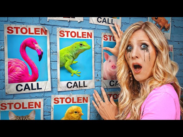 MY PETS WERE STOLEN