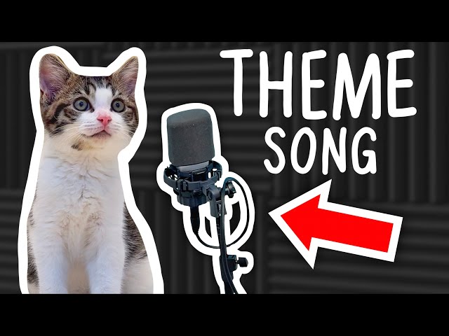 I Wrote A Theme Song For My KITTEN!