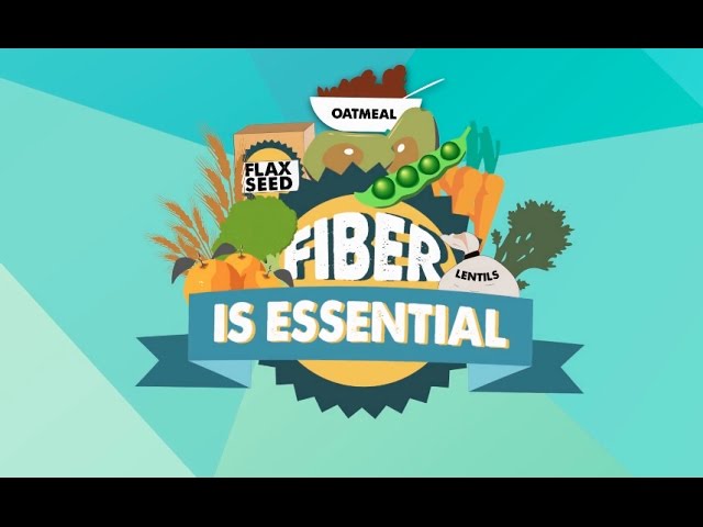 Dietary Fiber 101: Soluble vs. Insoluble Fiber Explained | WebMD