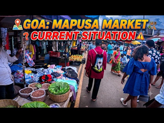 Goa | Mapusa Market | Situation Update | Goa Tour | Best Tourist Places | Goa Vlog